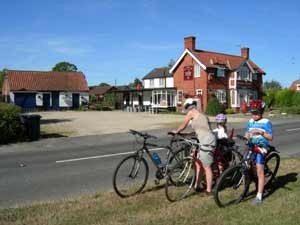 The Elder Tree, Horsington