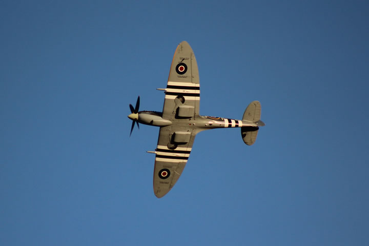 Spitfire